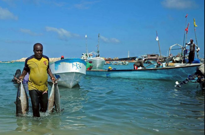 Vendors offload a catch from fishing boats at Bosaso beach in Puntland, northeastern Somalia. PHOTO | AFP