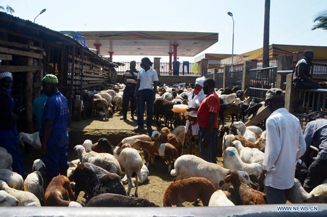 People visit a livestock market ahead of Eid al-Adha in Kampala, Uganda, July 19, 2021. (Photo by Nicholas Kajoba/Xinhua)