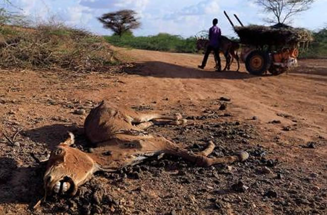 Did Adam Smith’s Invisible Hand rescue Somali drought victims?