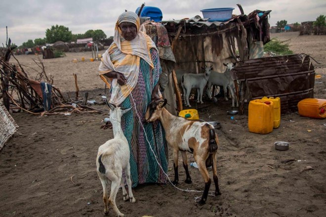 Marian Hussain with her five surviving goats. (Ashley Hamer/VICE News)