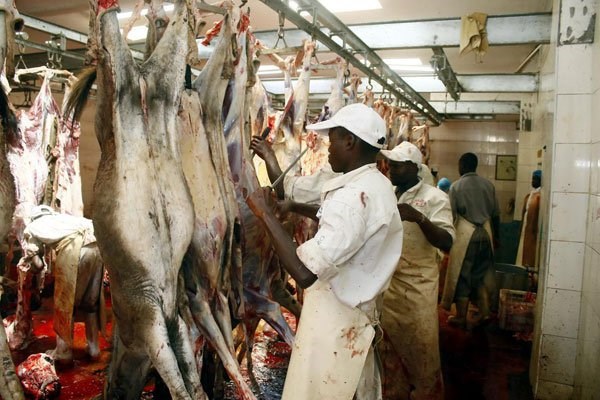 Activities at Goldox Kenya Ltd, a donkey slaughterhouse in Mogotio, Baringo County. The meat is exported to China. PHOTO | FILE | NATION MEDIA GROUP